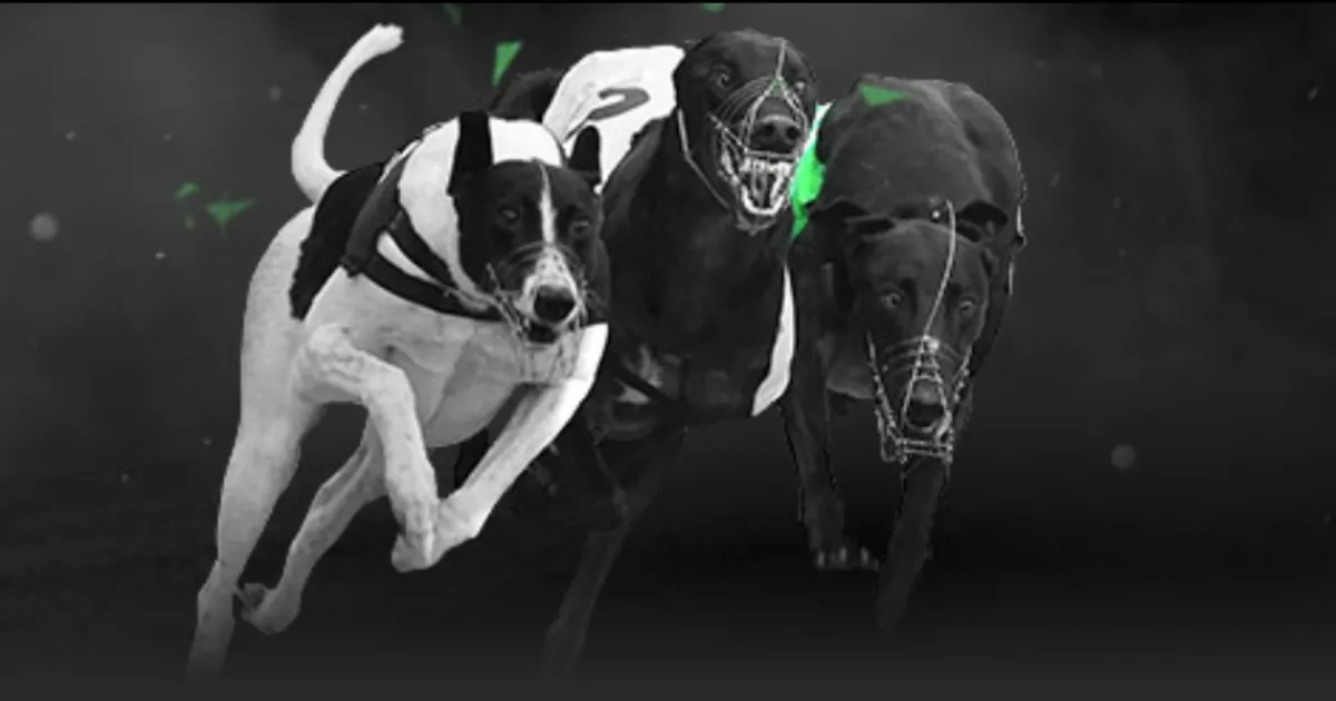 科瓦西奇自,首战表现不,及预期,中欧,ZO,中欧官网,中欧体育官网,中欧体育下载,中欧APP